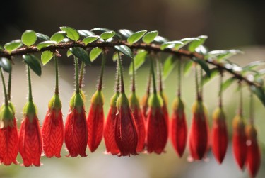 肇庆端州区4私人快速借钱网，轻松解决资金难题