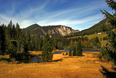 肇庆端州区4民间私贷攻略：揭秘低成本借贷的秘密