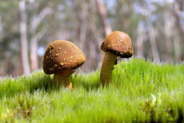 肇庆端州区4私人老板放款：轻松融资的秘密通道